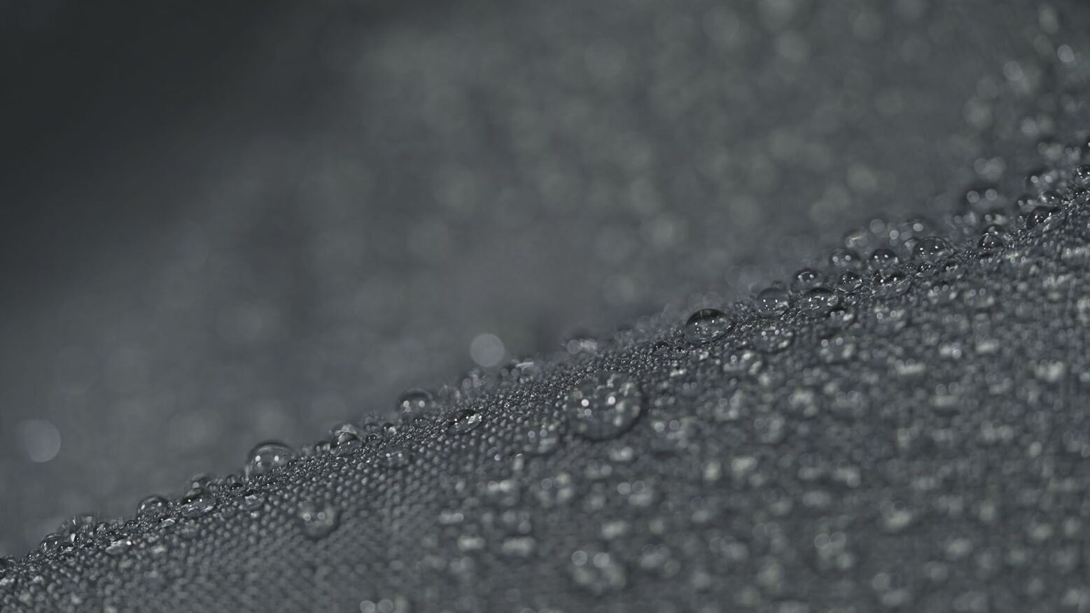 SALINA FUNDA DE PROTECCIóN