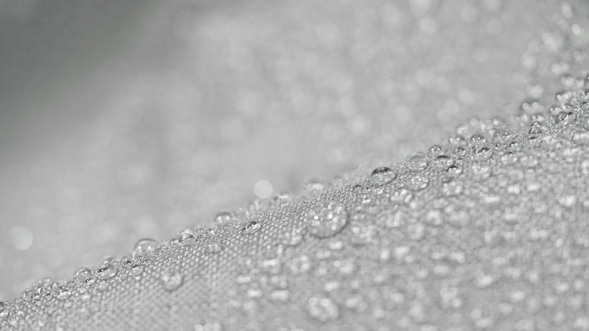 Epona Funda de protección sillón central