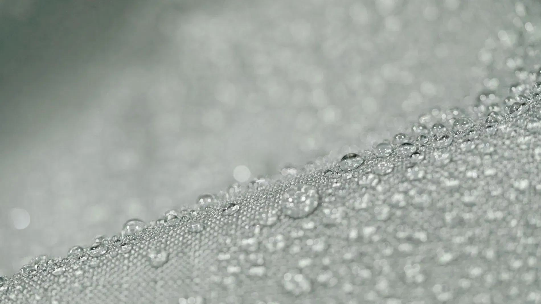 Travia L Funda de protección