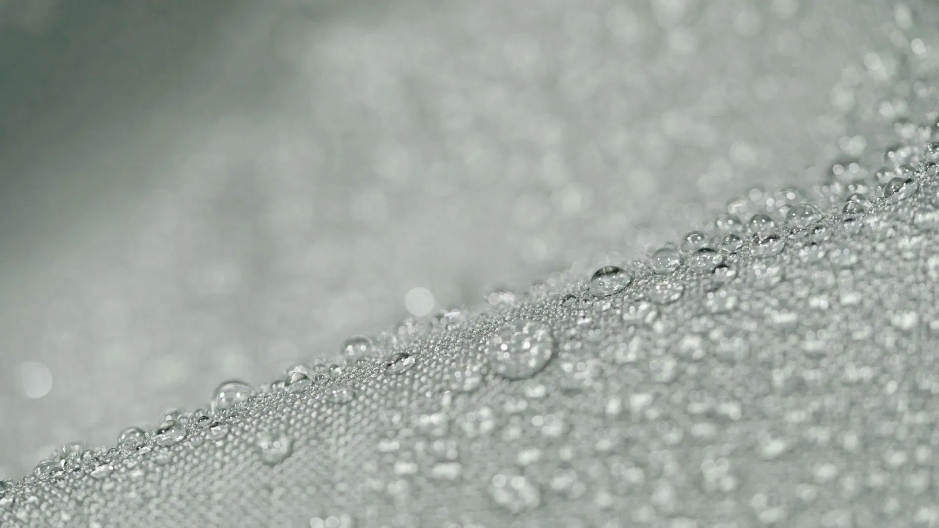 Gemini XL Funda de protección